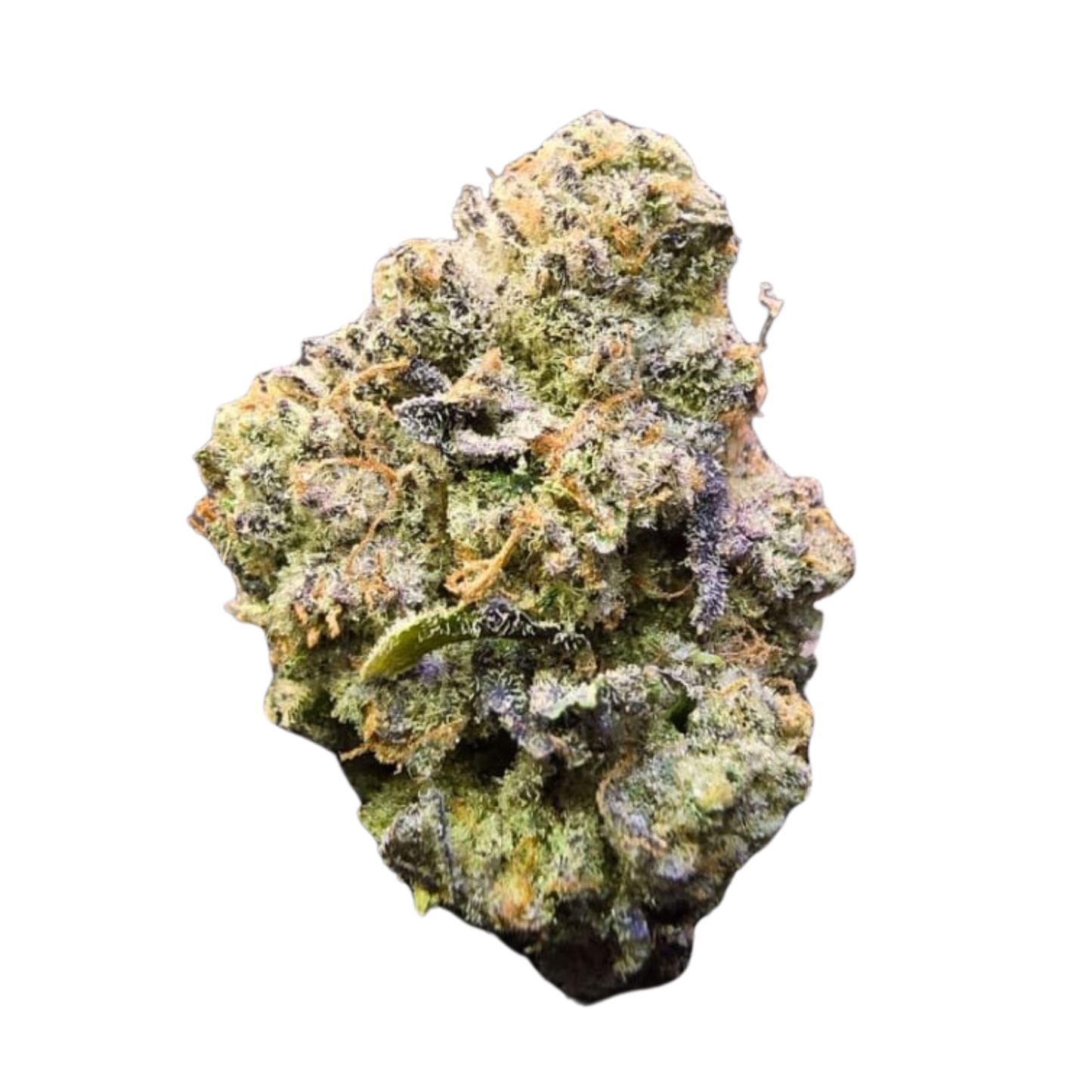 Jelly Lemonade Seeds